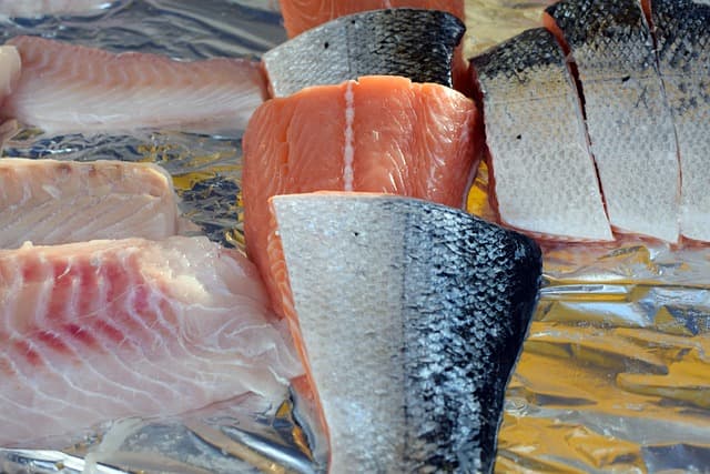 Benefits of Eating Fresh Fish in your diet